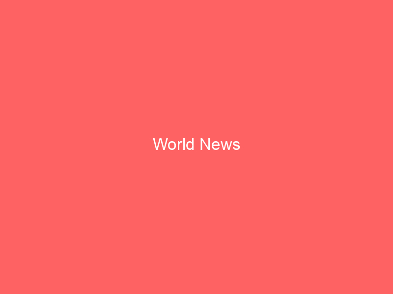 World News World News