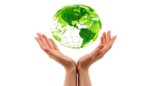 An Introduction to Ecofeminist Thought for International Relations Students