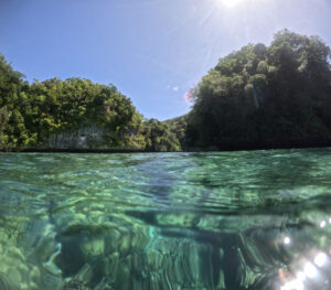 The Time for a Decade of Island Resilience is Now