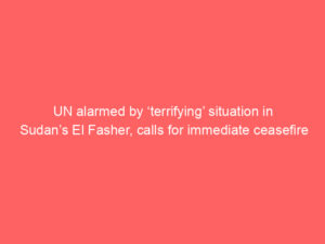 UN alarmed by ‘terrifying’ situation in Sudan’s El Fasher, calls for immediate ceasefire