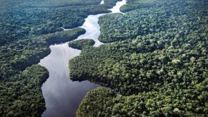 Germany promises support for Brazil’s tropical forest protection scheme at UN climate talks