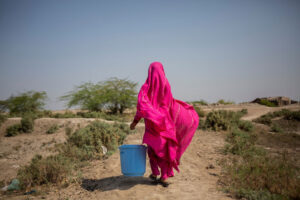 Rising Heat, Rising Risk: Regional Policy Actions