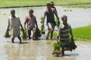 Kashmir’s Small Farmers Endless Wait for Climate Justice