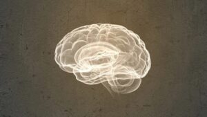 The Colonial and Its Discontents: Anti-Colonialism, Decolonization, and Post-Colonialism