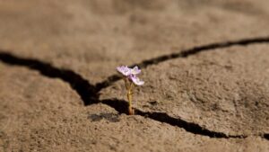 Opinion – Strategic Voids in Global Environmental Governance 