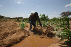 COP30: New Faces, Old Issues: What Must Change if Global Climate Talks Are to Deliver Justice for Africa