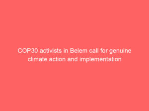 COP30 activists in Belem call for genuine climate action and implementation