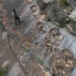 Safe from harm: Study reveals world record breaking dinosaur footprint park protected by mud