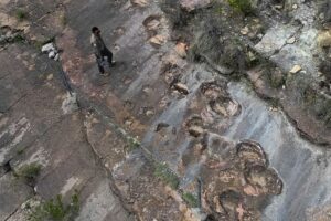 Safe from harm: Study reveals world record breaking dinosaur footprint park protected by mud