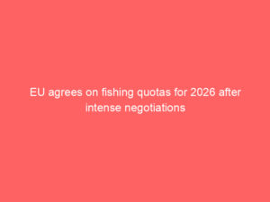 EU agrees on fishing quotas for 2026 after intense negotiations