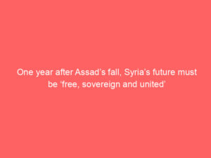 One year after Assad’s fall, Syria’s future must be ‘free, sovereign and united’
